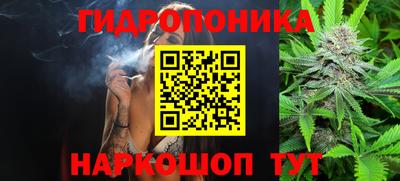 гашик Можга