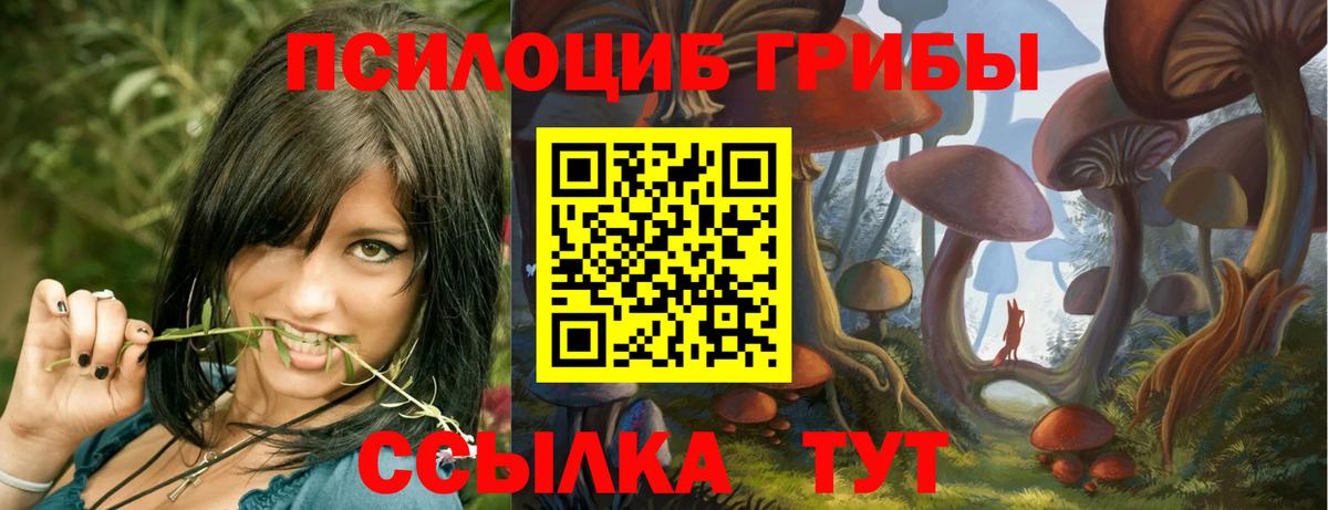 Псилоцибиновые грибы Magic Shrooms Томск